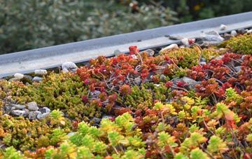 the cost of Lower Lemington green roof installation